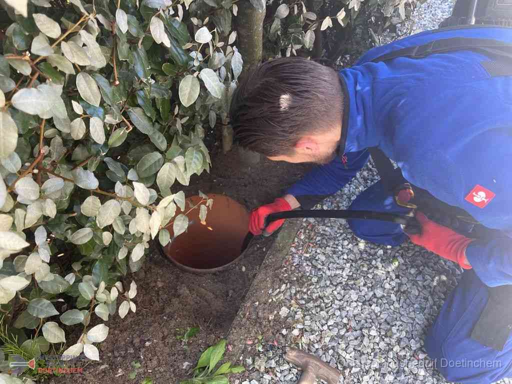 Rioolvliegjes Doetinchem Rioolvliegjes Doetinchem